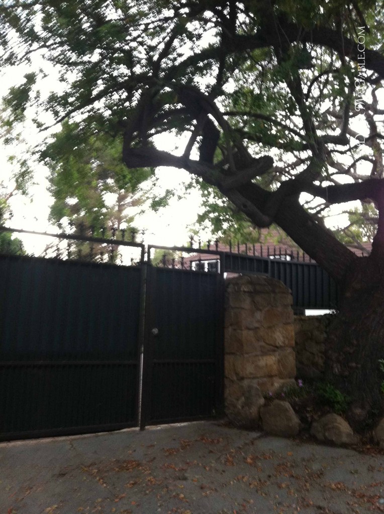 Carole Lombard's house on St. Cloud Rd.