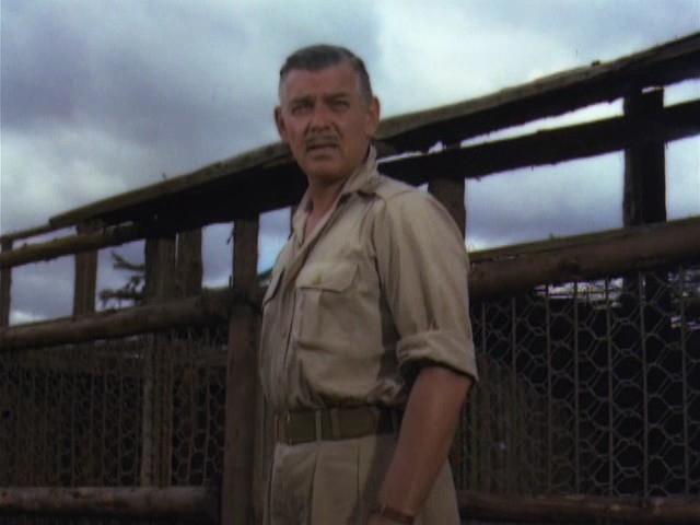 clark gable mogambo