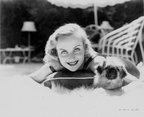 carole lombard pushface dog