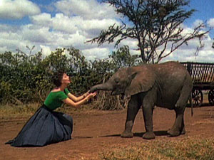 ava gardner elephant mogambo