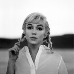 marilyn monroe the misfits