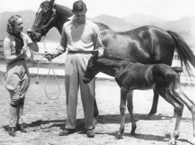 clark gable carole lombard