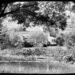 clark gable carole lombard ranch home encino