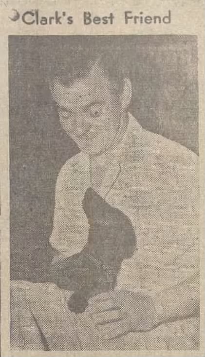 clark gable dog