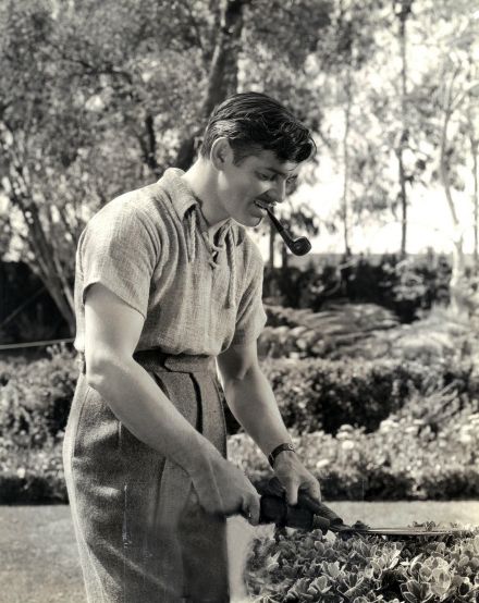 clark gable gardening